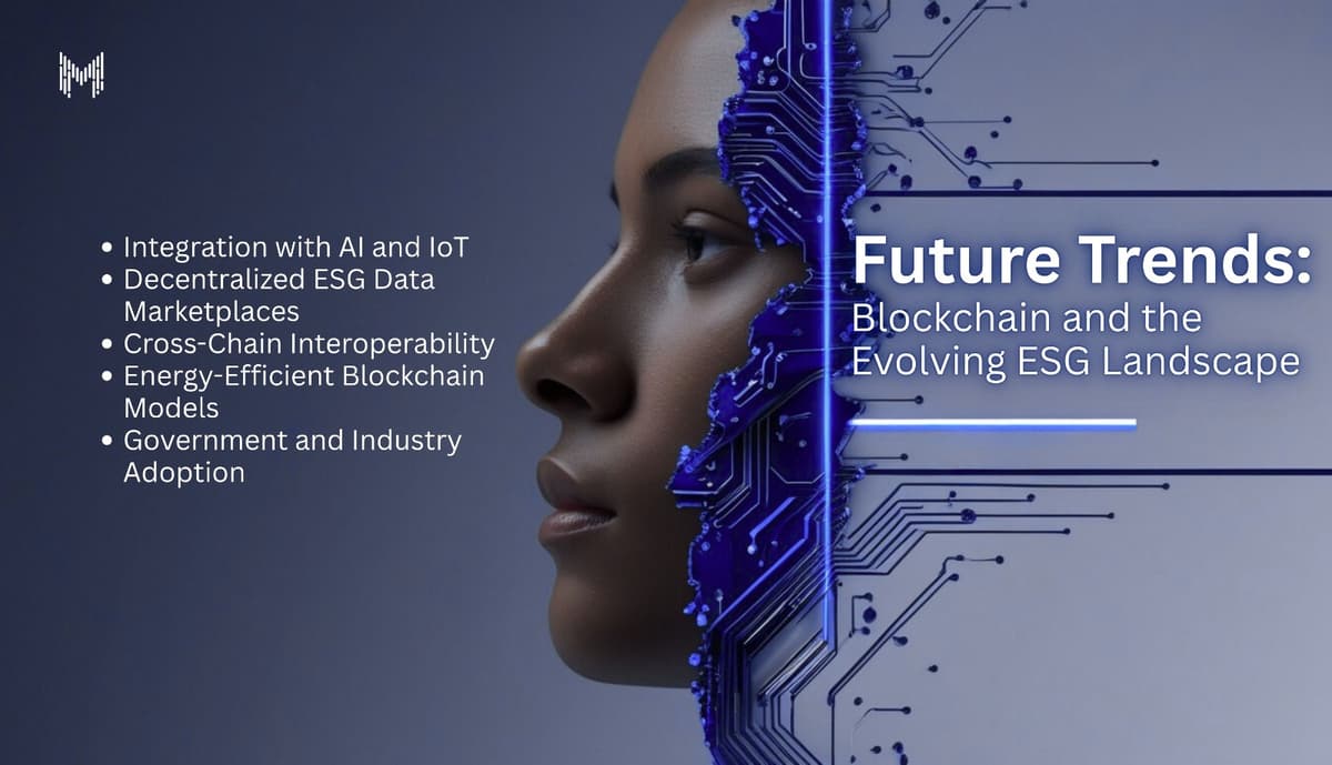 Crypto-Powered Checkout Systems