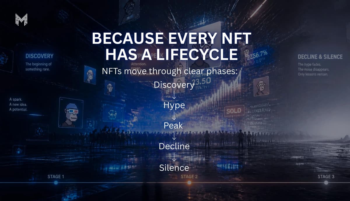 Because Every NFT Has a Lifecycle